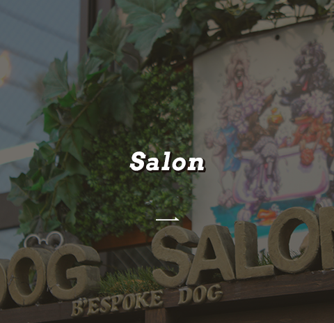 Salon Guide