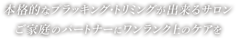 本格的なプラッキング・トリミングができるサロン ご家庭のパートナーにワンランク上のケアを