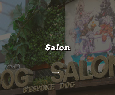 Salon Guide