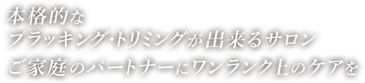 本格的なプラッキング・トリミングができるサロン ご家庭のパートナーにワンランク上のケアを